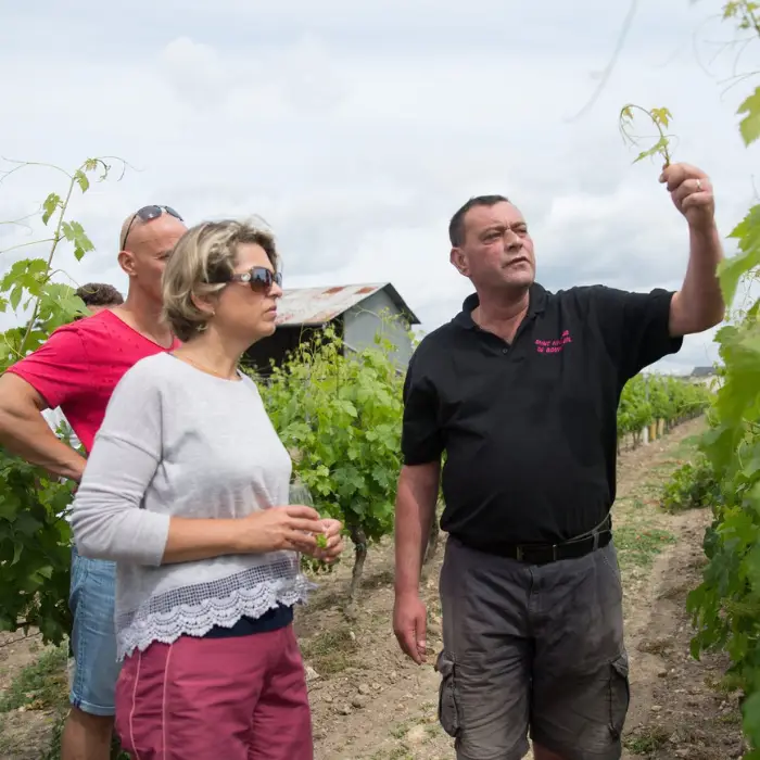 Domaine de la Chopinière du Roy