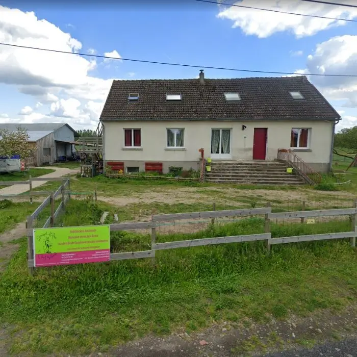 Les Ânes de Medeina