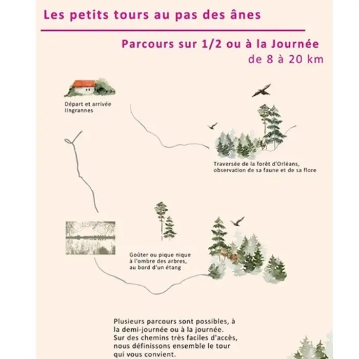 Les Ânes de Medeina
