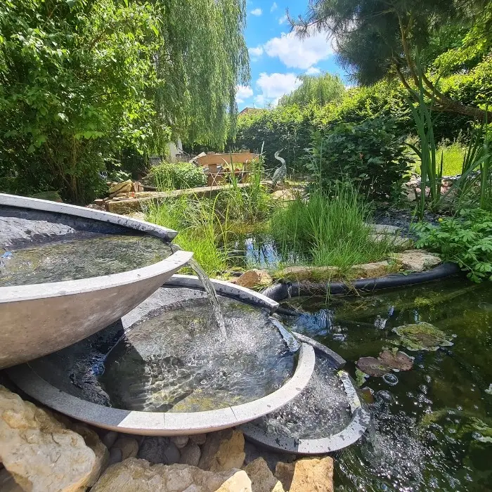Le Souffle du Saule