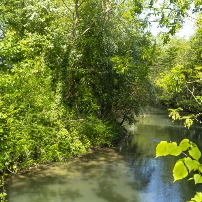 LE DOMAINE DE WAIL