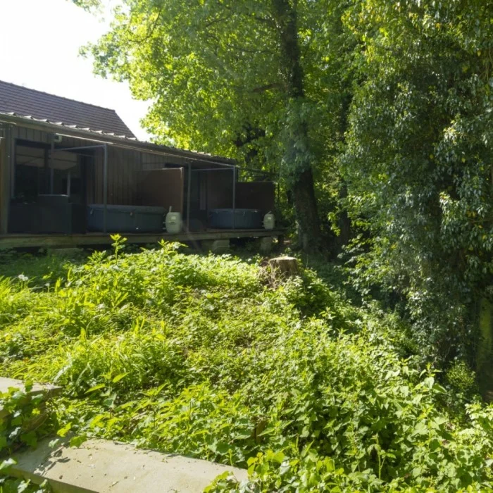 LE DOMAINE DE WAIL