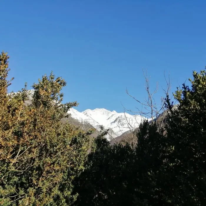 Camping les Tilleuls et Toy's Roulottes