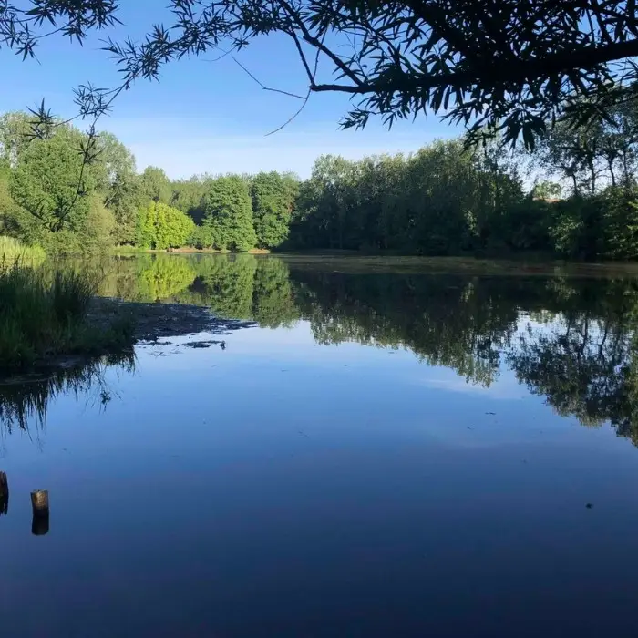Les Reflets Roz