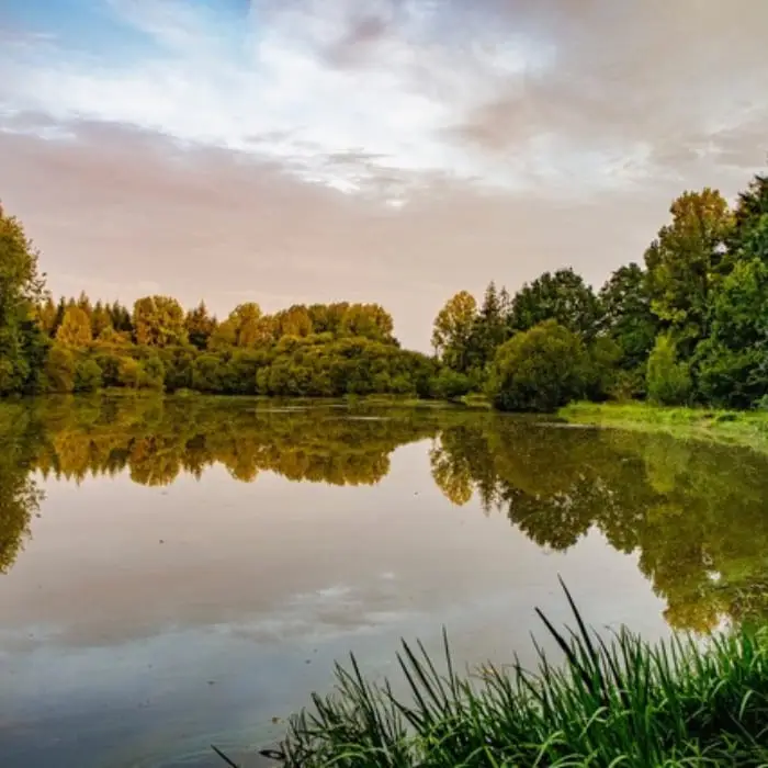 Les Reflets Roz