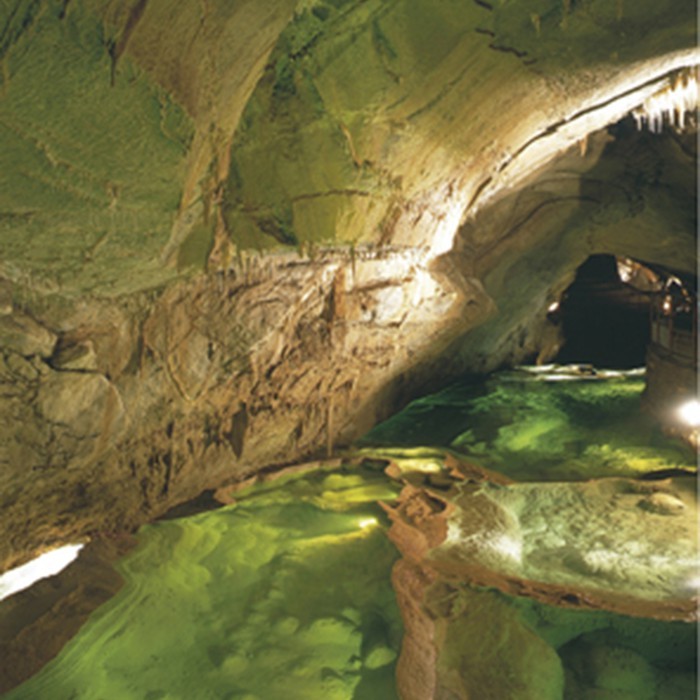 Grotte de la Cocalière