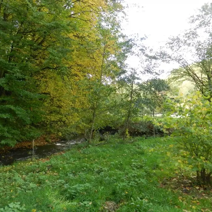 Cabane-spa Cocon du Gast 