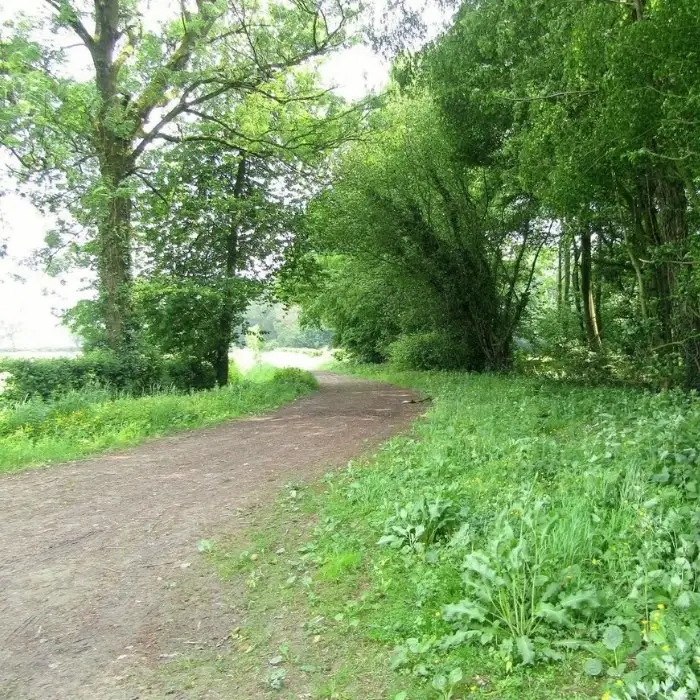 La Source de nos Racines