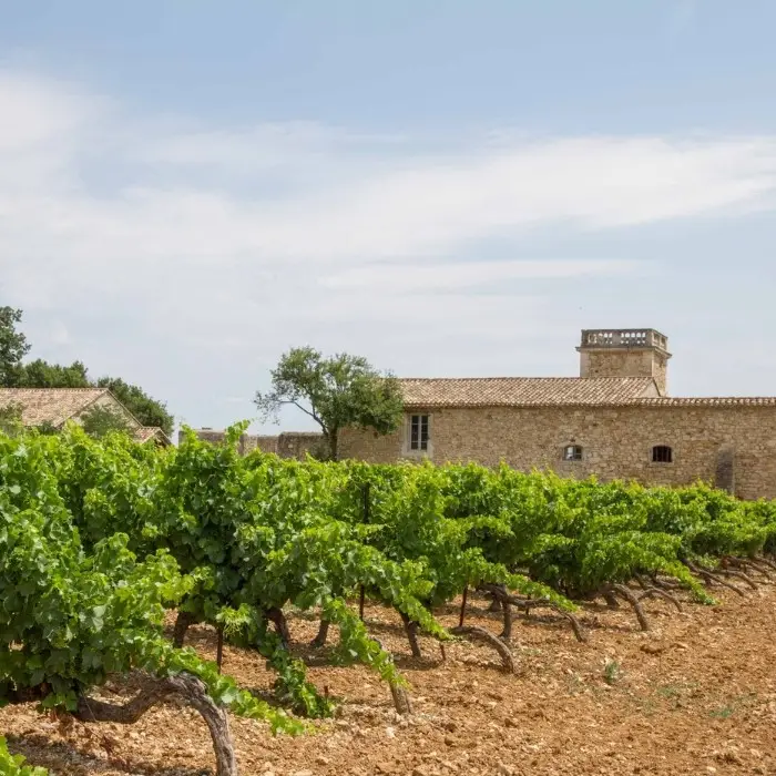 Domaine Sainte Suzanne