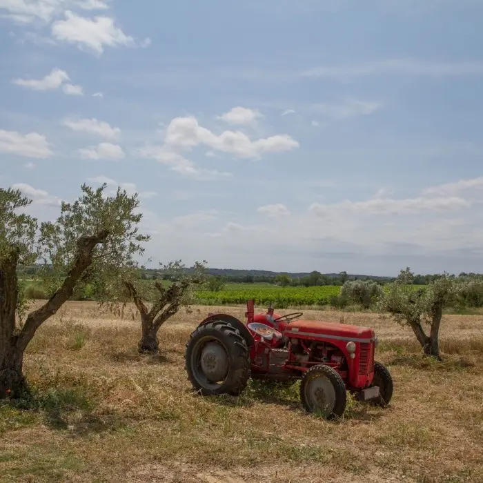 Domaine Sainte Suzanne