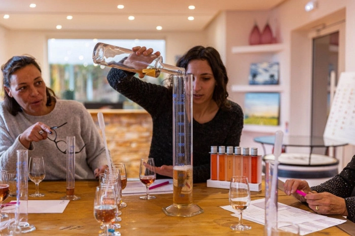 Atelier À boire - Vinification/Viticulture/Oenologie à Rousset – 2h