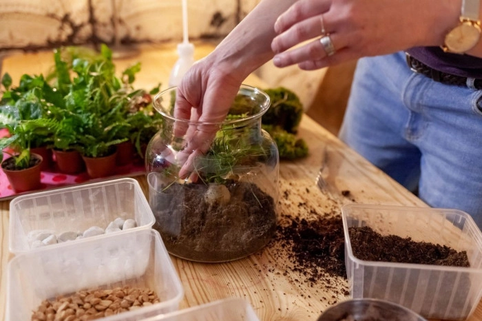 Atelier Végétal - Composition de terrarium à Lyon – 1h