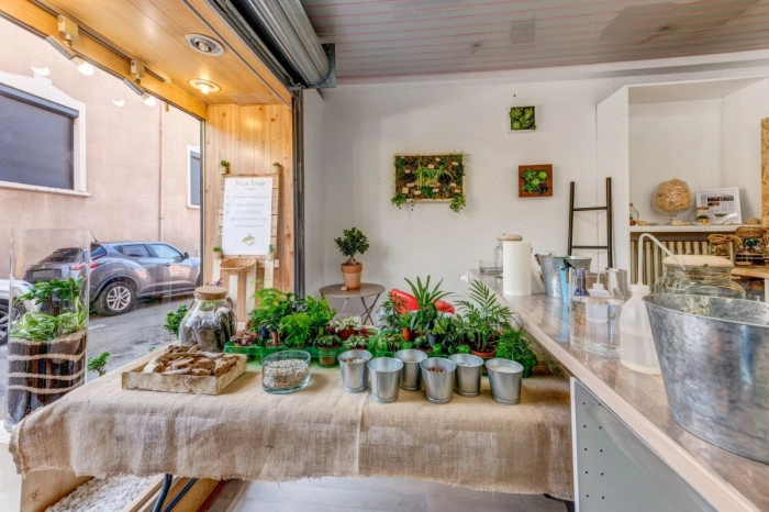 Atelier Végétal - Composition de terrarium à Caluire et Cuire – 2h