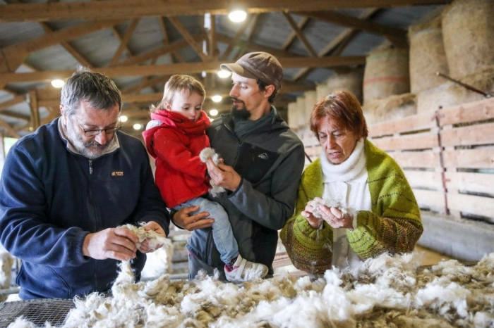 Atelier Agriculture - Elevage/Tricot à Belbèze-en-Comminges – 3h