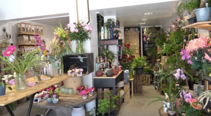 Atelier Végétal - Composition de terrarium à Darnétal – 1h