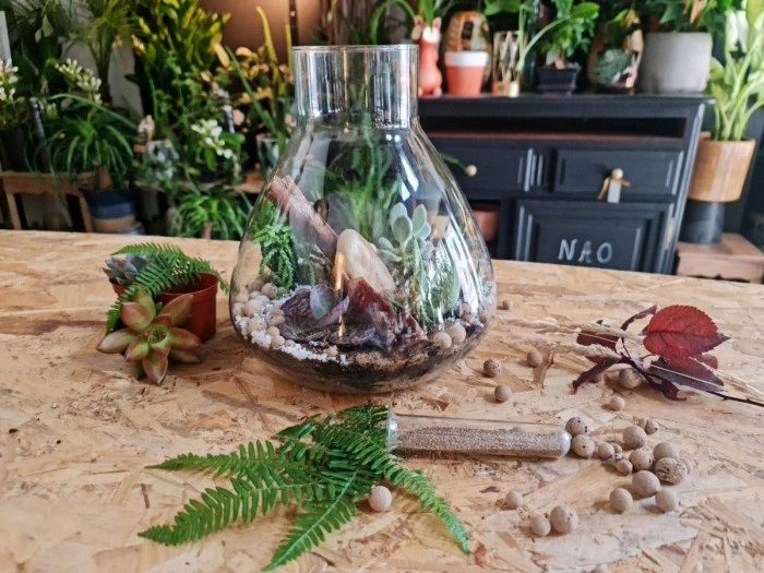 Atelier Végétal - Composition de terrarium à Darnétal – 1h
