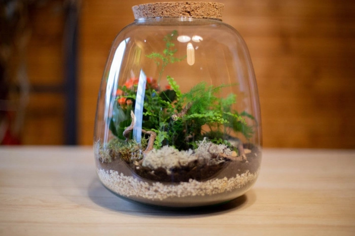 Atelier Végétal - Composition de terrarium à Moirans – 2h