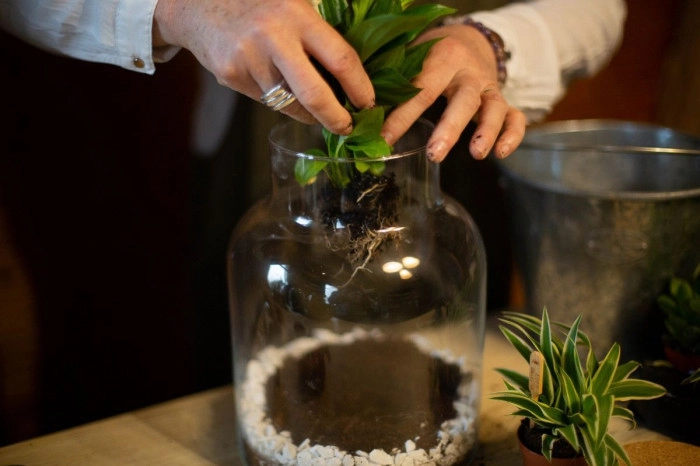 Atelier Végétal - Composition de terrarium à Moirans – 2h