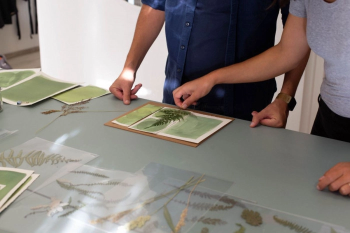 Atelier Papier - Cyanotype à Lyon – 2h