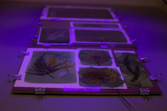 Atelier Papier - Cyanotype à Lyon – 2h