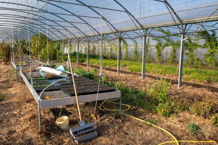 Atelier Agriculture - Maraîchage à Saint-Hilaire-de-Chaléons – 3h