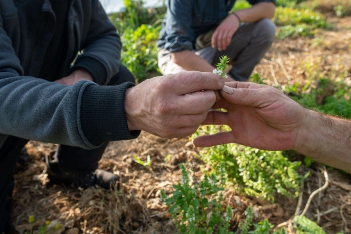 Atelier Agriculture - Maraîchage à Saint-Hilaire-de-Chaléons – 3h