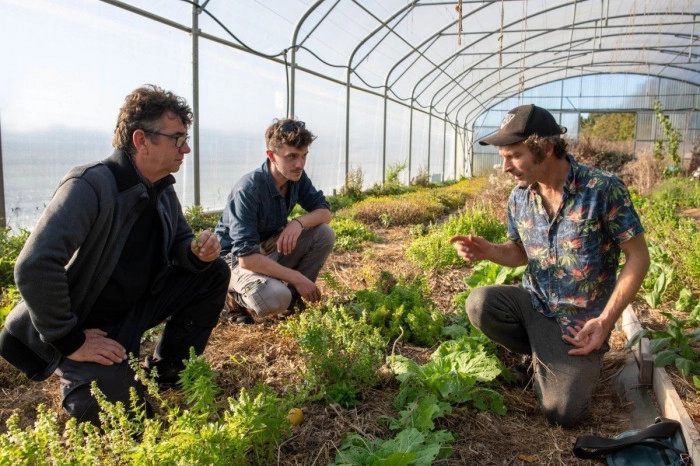 Atelier Agriculture - Maraîchage à Saint-Hilaire-de-Chaléons – 3h