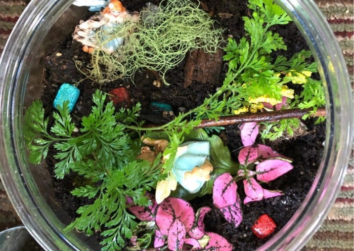 Atelier Végétal - Composition de terrarium à Cagnes-sur-Mer – 2h