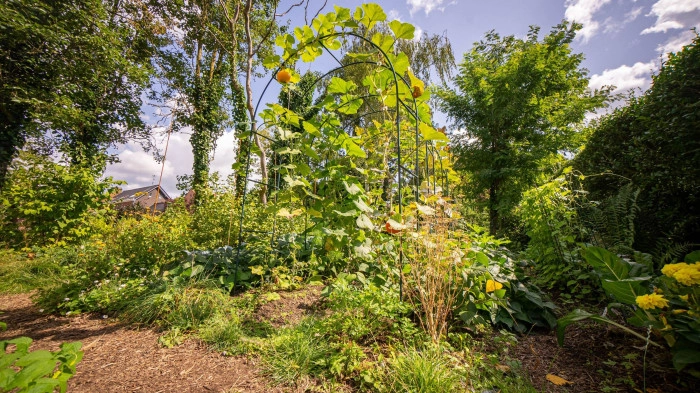 Atelier Agriculture - Maraîchage à Villeneuve-d'Ascq – 3h