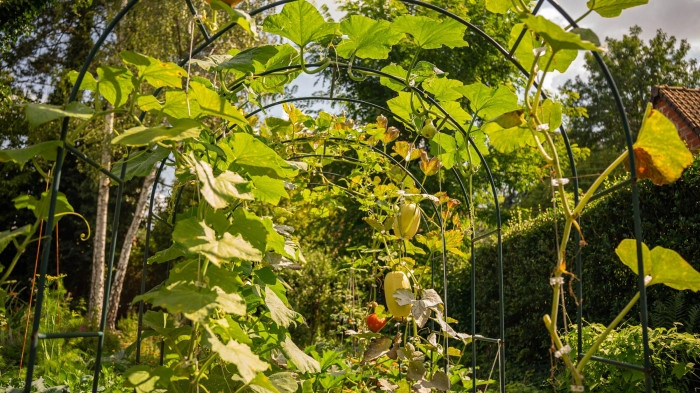 Atelier Agriculture - Maraîchage à Villeneuve-d'Ascq – 3h