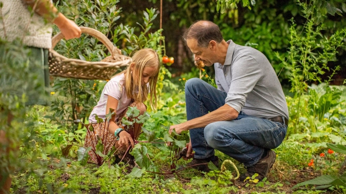 Atelier Agriculture - Maraîchage à Villeneuve-d'Ascq – 3h