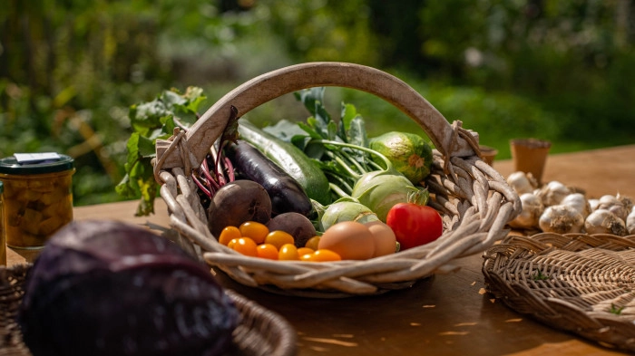 Atelier Agriculture - Maraîchage à Villeneuve-d'Ascq – 3h