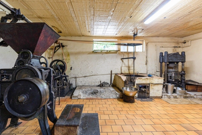 Atelier À manger - Arboriculture à Sarlat-la-Canéda – 2h