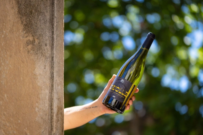 Atelier À boire - Viticulture/Oenologie/Vinification à La Fare-les-Oliviers – 2h