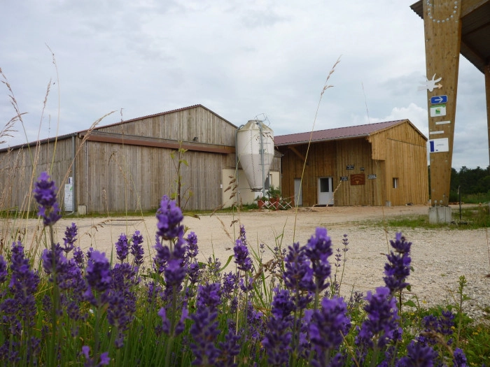 Atelier À manger - Fromagerie et crèmerie/Elevage à Riaucourt – 3h