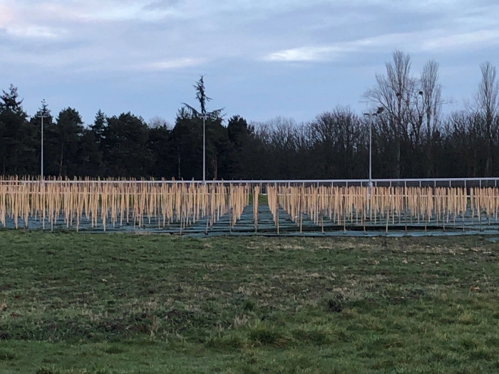 Atelier À boire - Viticulture/Oenologie à Paris – 3h
