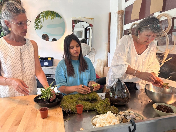 Atelier Végétal - Composition de terrarium à Bayonne – 1h