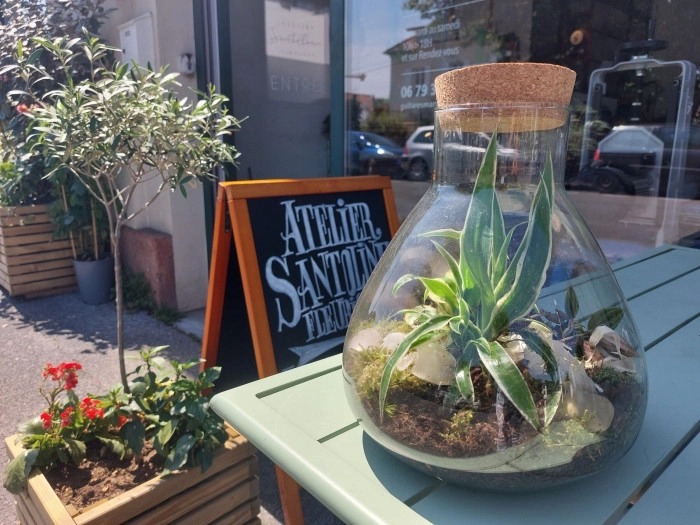 Atelier Végétal - Composition de terrarium à Bayonne – 1h