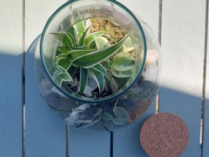 Atelier Végétal - Composition de terrarium à Bayonne – 1h