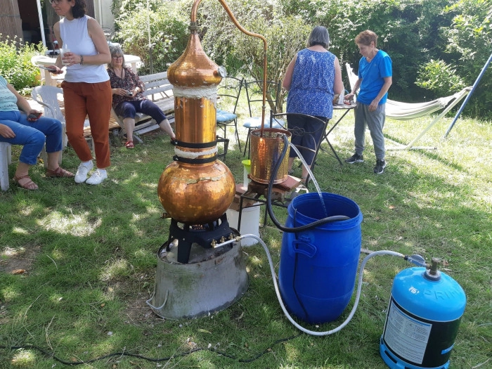 Atelier Cosmétique et bien-être - Distillation de plantes/Cueillette botanique à Châteauneuf-sur-Loire – 3h