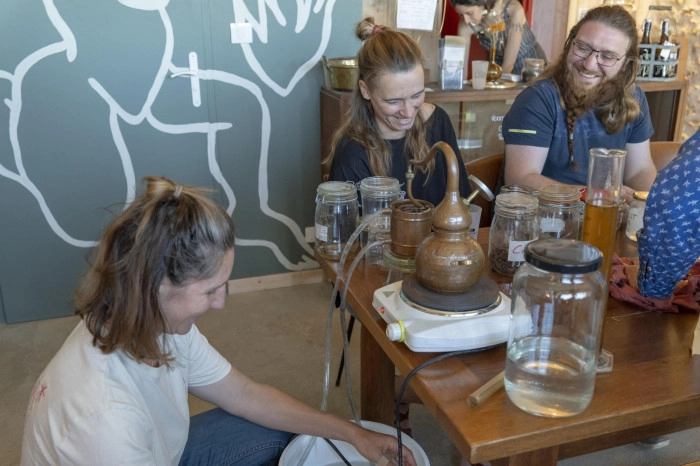 Atelier À boire - Distillation et assemblage de spiritueux à Pont-l'Abbé-d'Arnoult – 2h