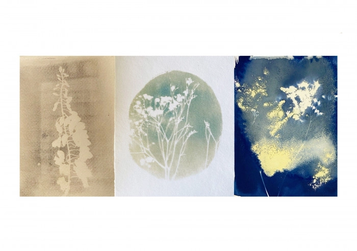 Atelier Papier - Cyanotype à Lucé – 2h
