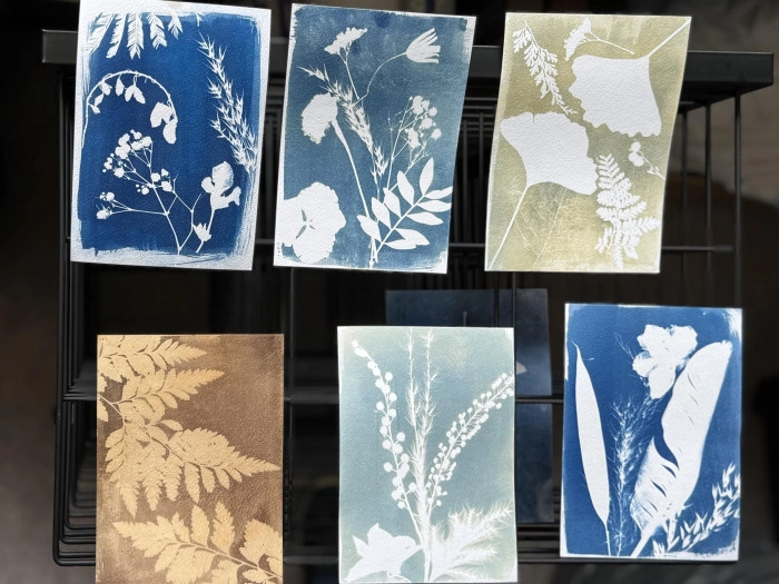 Atelier Papier - Cyanotype à Lucé – 2h