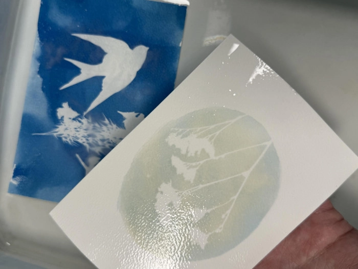 Atelier Papier - Cyanotype à Lucé – 2h