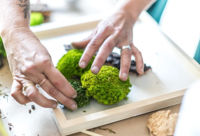 Atelier Végétal - Composition fleurs/plantes fraîches à Paris – 1h
