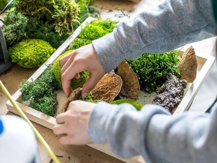 Atelier Végétal - Composition fleurs/plantes fraîches à Paris – 1h