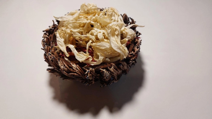Atelier Poterie et Céramique - Modelage à Avignon – 3h