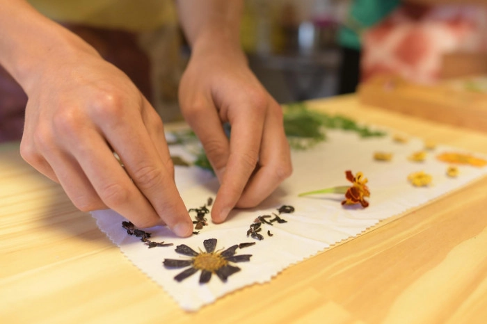 Atelier Textile - Teinture végétale à Plénée-Jugon – 3h