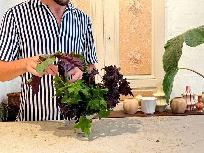 Atelier Végétal - Composition fleurs/plantes fraîches à Lyon – 1h