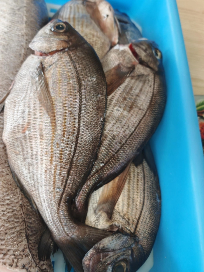 Atelier À manger - Cuisine française/Cuisine à Saint-Jean-de-Luz – 3h